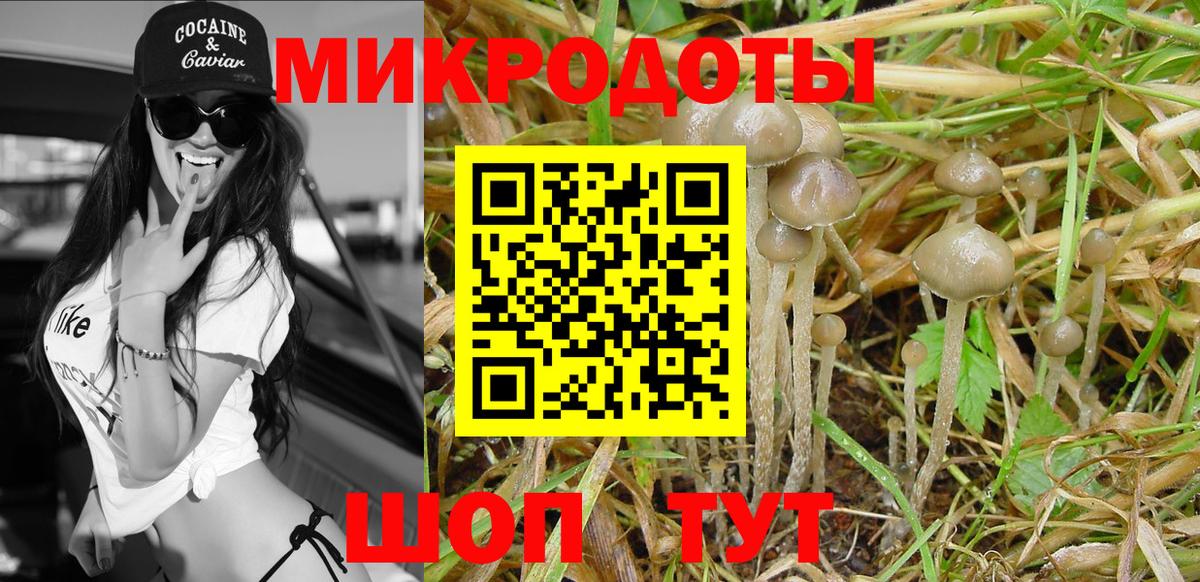 Галлюциногенные грибы прущие грибы  Вход с VPN  хочу   Шадринск 